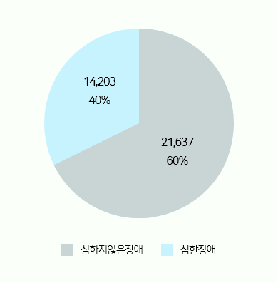 장애 등급별로는 심하지 않은 장애 60%, 심한 장애 40%의 비율로 나타나고 있음