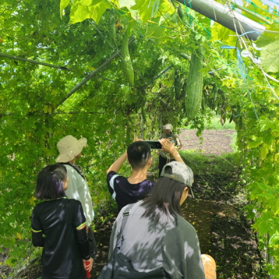 장애소아청소년치유농장 재활프로그램 '햇살담은팡' 15회기